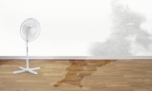 Best Flood damage cleanup  in Bentleyville, PA
