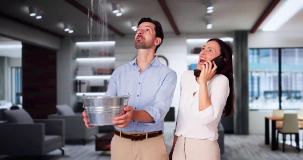 Best Ceiling water damage repair  in Bentleyville, PA